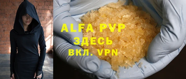 стаф Богданович