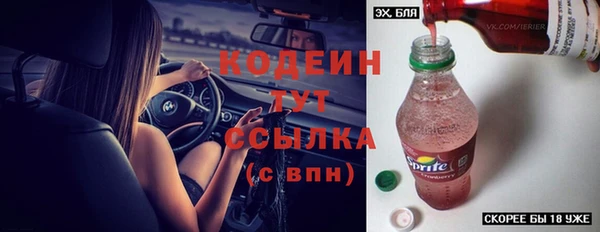 стаф Богданович