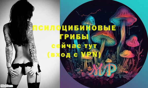 сатива Богородицк