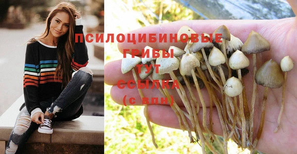 прущие крисы Беломорск