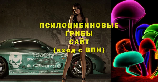 мдпв Белокуриха
