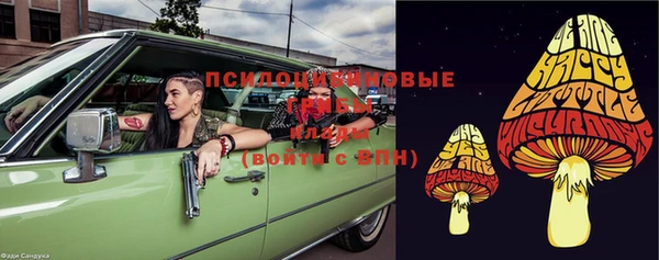 сатива Богородицк
