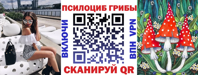 Псилоцибиновые грибы Psilocybine cubensis  Богучар 